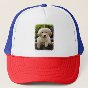 Charming Goldie Retriever Dog Puppy Photo - cap