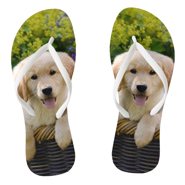 Charming Goldie Retriever Dog Puppy Photo Portrait Thongs (Footbed)