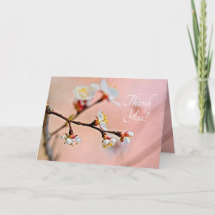 Charming Japanese Apricot Blossoms Thank You Card
