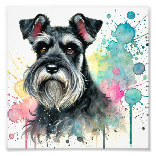 Charming Miniature Schnauzer Watercolor Art Photo Print