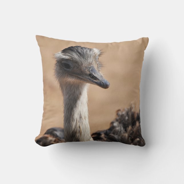 Charming ostrich cushion (Front)