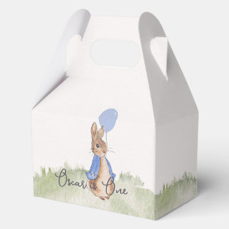 Charming Peter Rabbit Themed Party Boxes