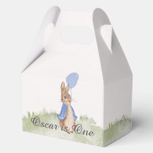 Charming Peter Rabbit Themed Party Boxes
