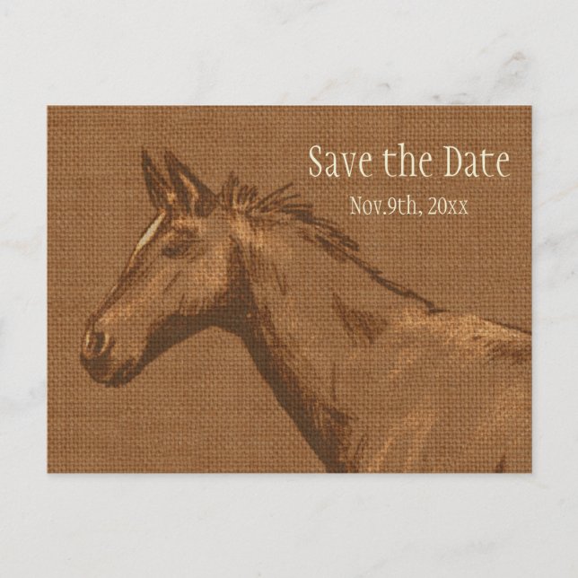 Charming Rustic Horse Save the Date Postcard (Front)