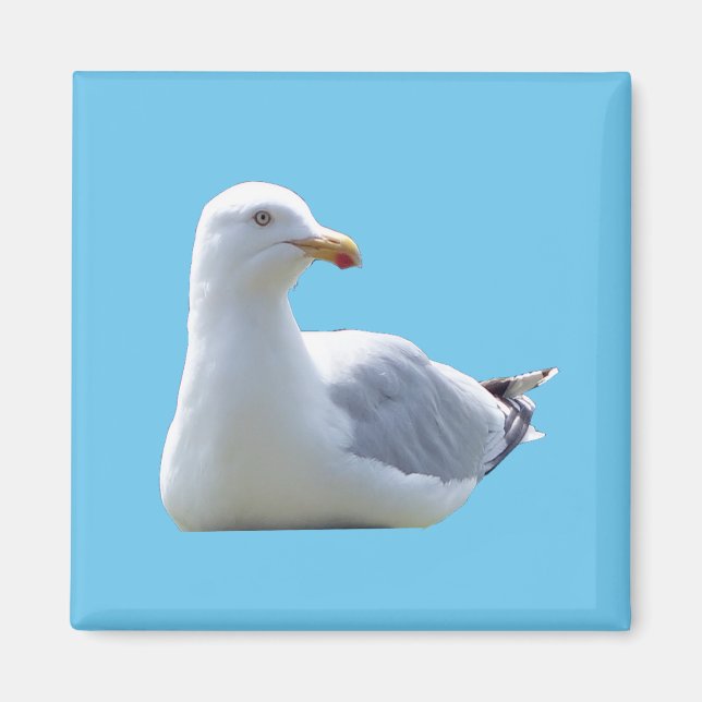 Charming Seagull Resting Coastal Blue Sky Design Magnet (Front)