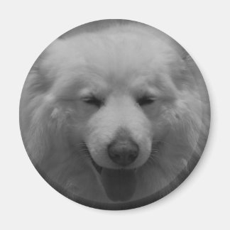 Charming Smile Magnet