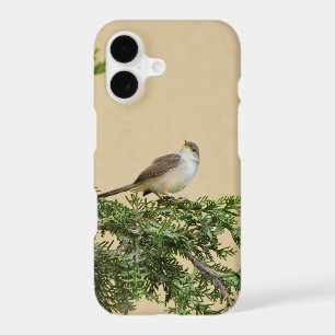 Charming Sparrow Bird Photograph