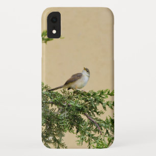 Charming Sparrow Bird Photograph iPhone XR Case
