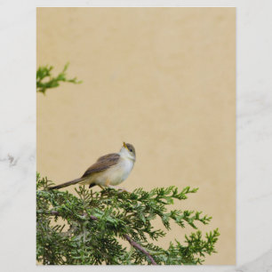 Charming Sparrow Bird Photograph Flyer