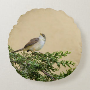 Charming Sparrow Bird Photograph Round Cushion