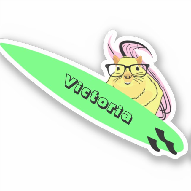 Charming squirrel surf design sticker (Front)