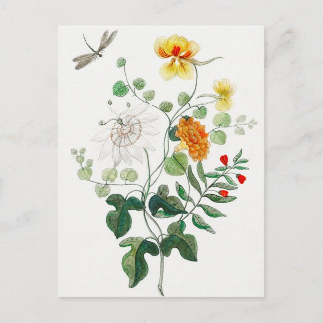 Charming Still Life Flower Postcard (Front)