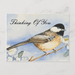 Charming Thinking Of You Chickadee Postcard