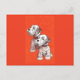Charming Vintage Terrier Dogs Retro Illustration P Postcard