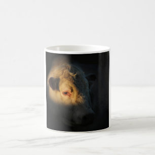 Charolais Bull In Sunset Coffee Mug