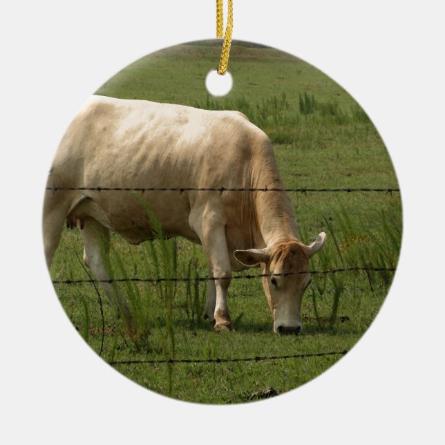 Charolais Cow Grazing in Field Ceramic Tree Decoration (Front)