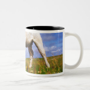 Charolais Cow Grazing, Mannin Bay, Ireland Two-Tone Coffee Mug