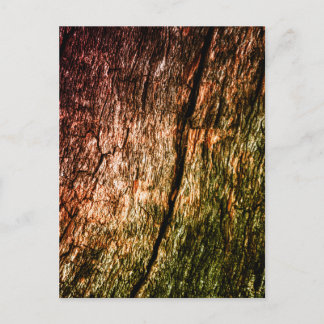Charred wood grain  postcard