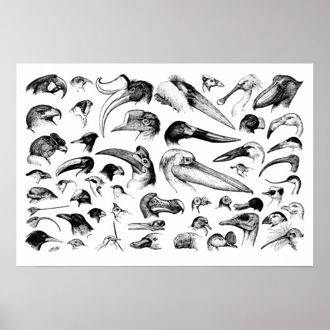 Chart of Bills (Front)