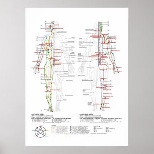 Chart of Human Meridians