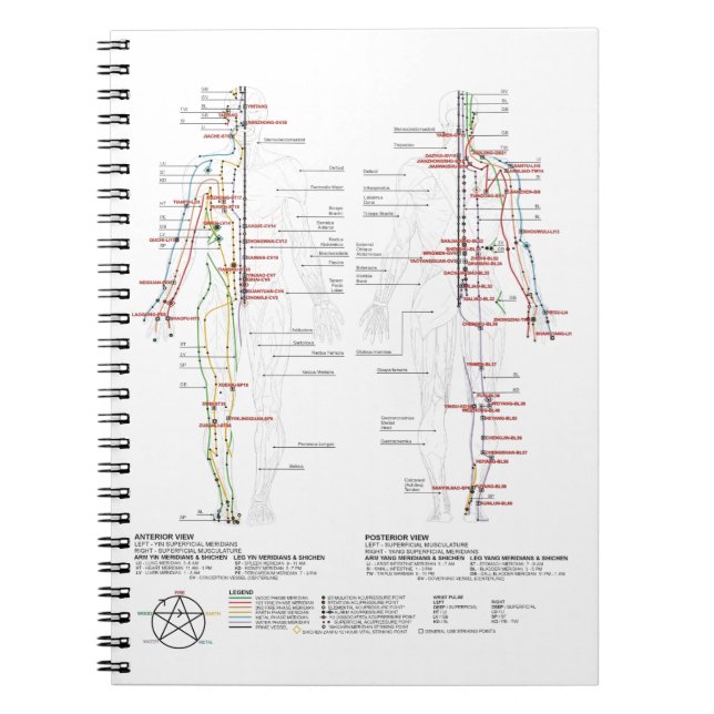 Chart of Human Meridians Notebook (Front)