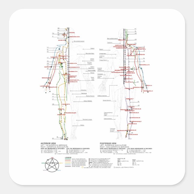 Chart of Human Meridians Square Sticker (Front)