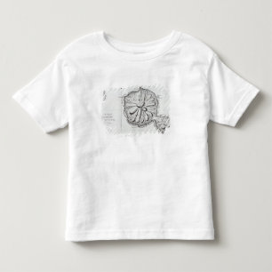 Chart of the Island Otaheite, 1769 Toddler T-Shirt