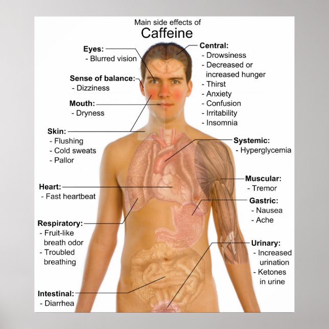 Chart of the Main Side Effects of Caffeine (Front)