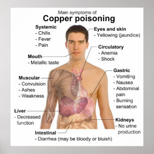 Chart of the Main Symptoms of Copper Poisoning