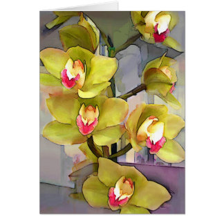 Chartreuse Cymbidiums