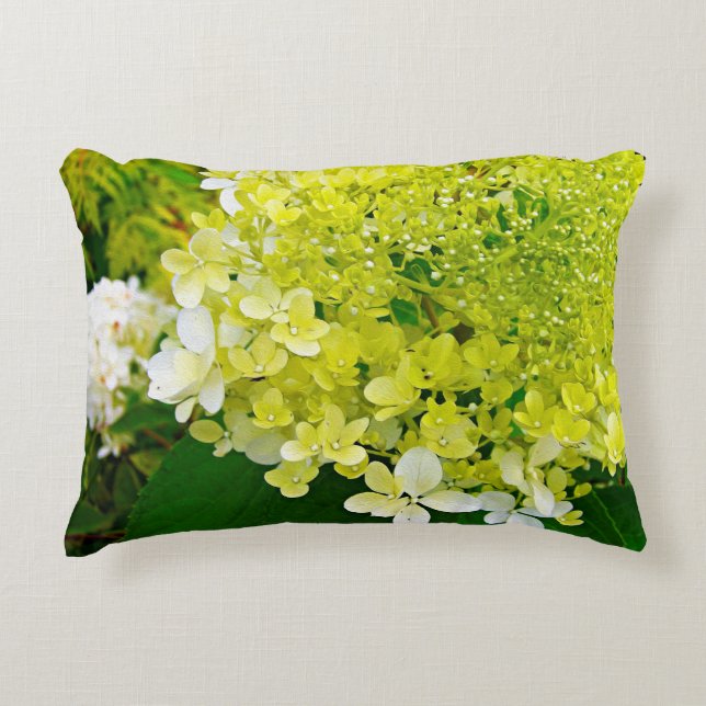 Chartreuse Green, Limelight Hydrangea, Decorative Cushion (Front)