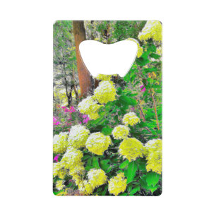 Chartreuse Green Limelight Hydrangea Garden