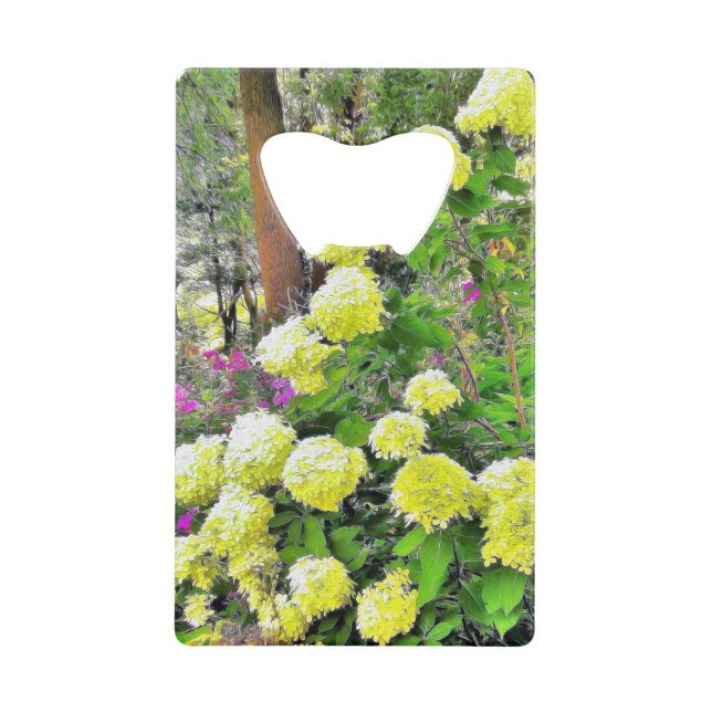 Chartreuse Green Limelight Hydrangea Garden (Front)