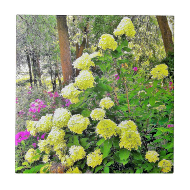 Chartreuse Green Limelight Hydrangea Garden Ceramic Tile (Front)