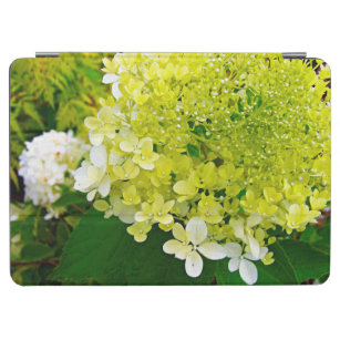 Chartreuse Green, Limelight Hydrangea, iPad Air Cover