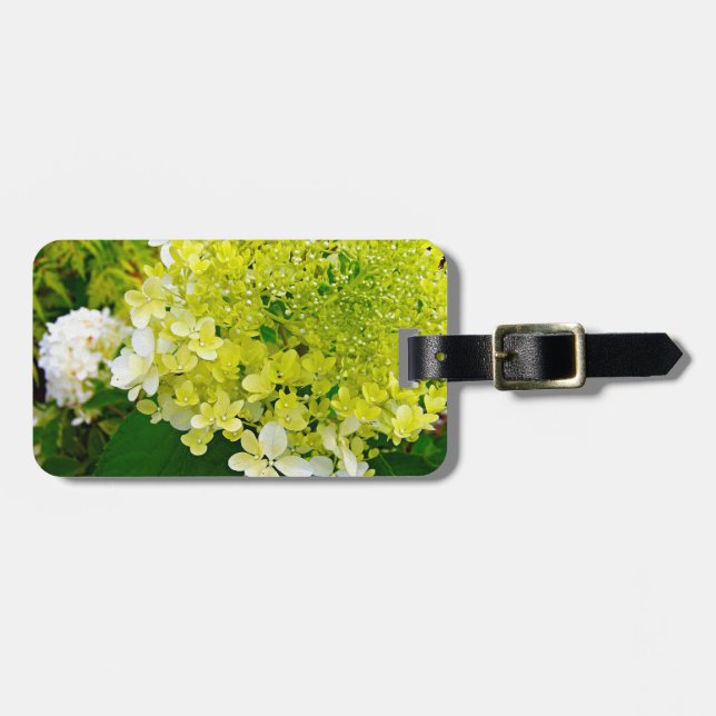 Chartreuse Green, Limelight Hydrangea, Luggage Tag (Front Horizontal)