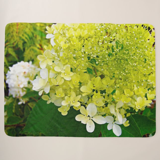 Chartreuse Green, Limelight Hydrangea, Sherpa Blanket (Front (Horizontal))