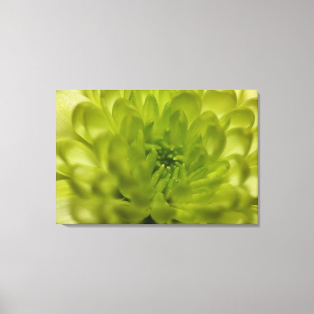 Chartreuse Green Mum Wrapped Canvas (Front)