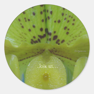 Chartreuse Green Slipper Orchid Wedding Seals