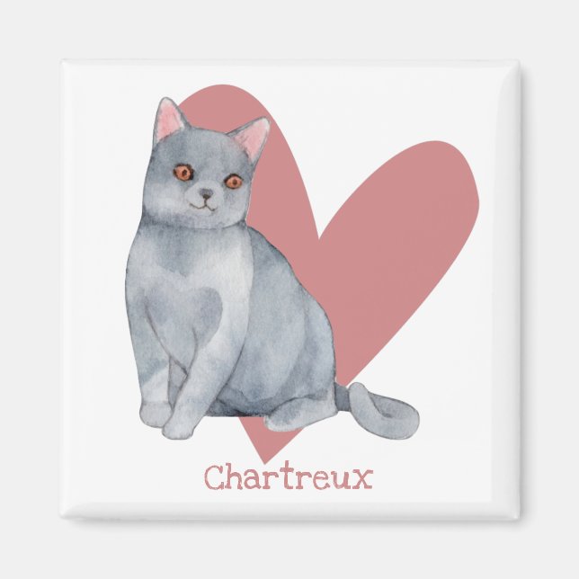 Chartreux Cat Watercolor Kitty Pink Heart Magnet (Front)