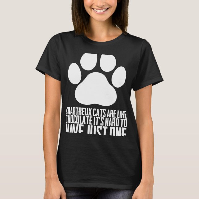 Chartreux cats  Chartreux  Chartreux kitten T-Shirt (Front)