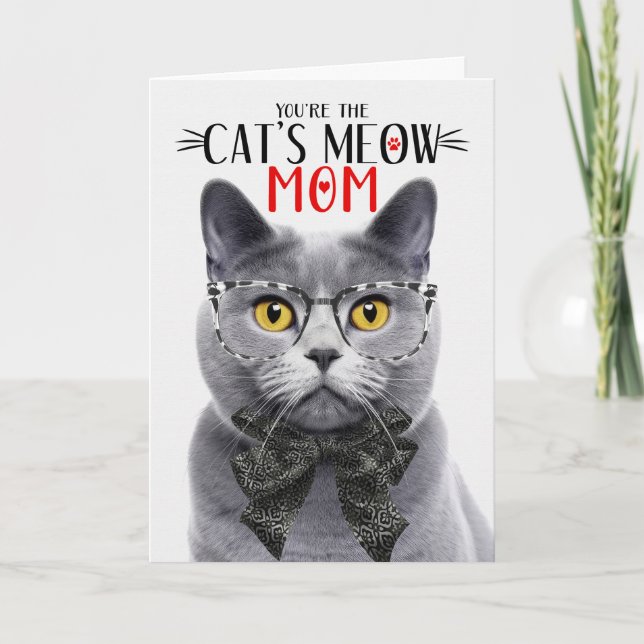 Chartreux Grey Cat for Mum on Mother's Day Holiday Card (Front)