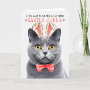 Chartreux Grey Cat in Bunny Ears for Easter Holiday Card
