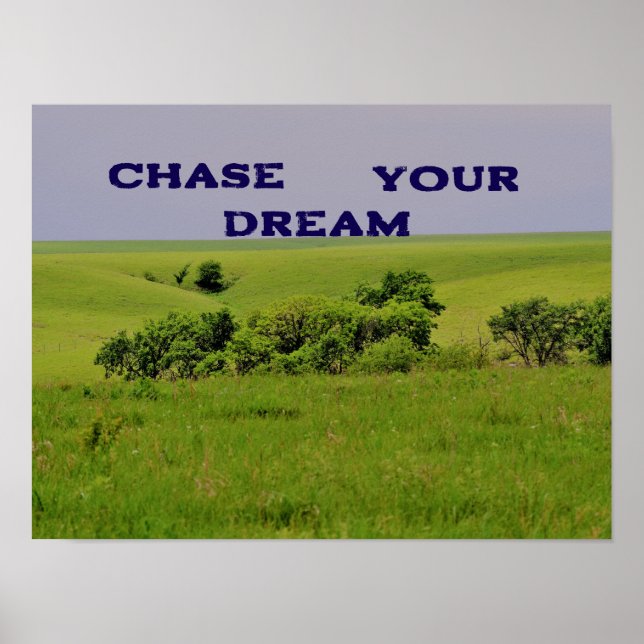 Chase Your Dream Motivational Poster (Front)