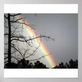 Chasing After Rainbows Poster