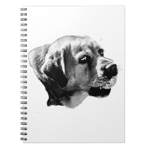 Chasing Goals – Side View Lab Notebook