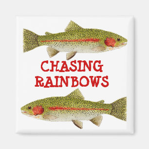 Chasing Rainbows Magnet