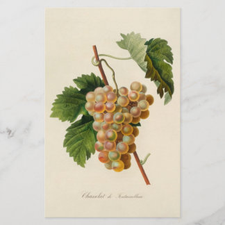 Chasselat de Fontainebleau Stationery
