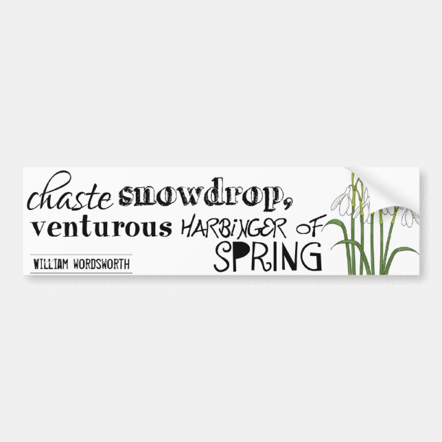 Chaste Snowdrop Bumper Sticker (Front)
