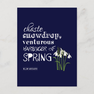 Chaste Snowdrop, Venturous Harbinger of Spring Postcard